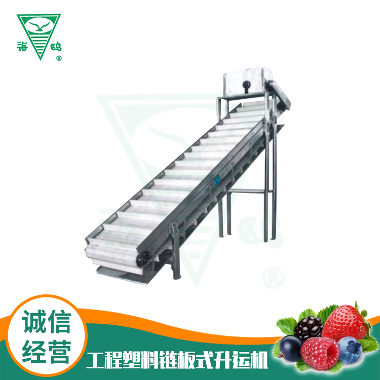 工程塑料鏈板式升運(yùn)機(jī)
